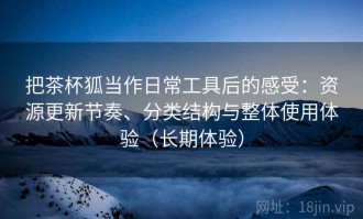 把茶杯狐当作日常工具后的感受：资源更新节奏、分类结构与整体使用体验（长期体验）