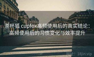 茶杯狐 cupfox高频使用后的真实结论：高频使用后的习惯变化与效率提升