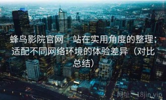 蜂鸟影院官网｜站在实用角度的整理：适配不同网络环境的体验差异（对比总结）