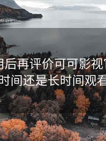 多次使用后再评价可可影视官网：适合碎片时间还是长时间观看的判断
