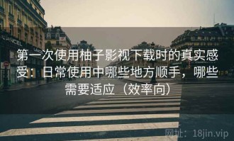 第一次使用柚子影视下载时的真实感受：日常使用中哪些地方顺手，哪些需要适应（效率向）
