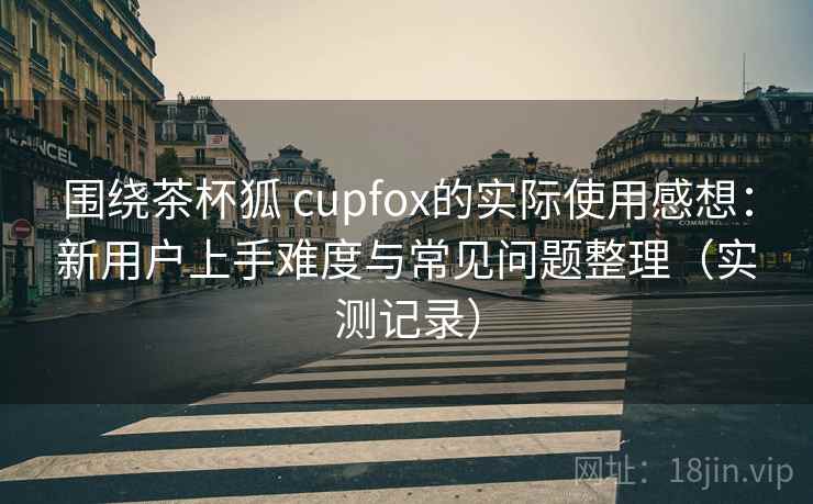 围绕茶杯狐 cupfox的实际使用感想：新用户上手难度与常见问题整理（实测记录）