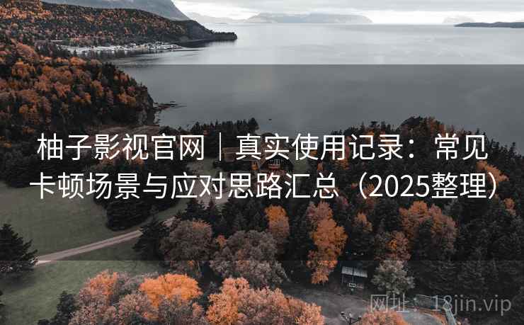 柚子影视官网｜真实使用记录：常见卡顿场景与应对思路汇总（2025整理）