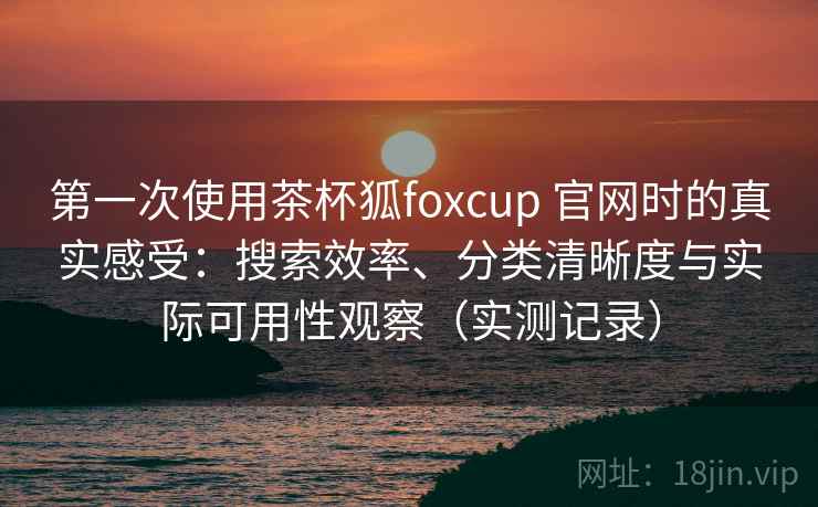 第一次使用茶杯狐foxcup 官网时的真实感受：搜索效率、分类清晰度与实际可用性观察（实测记录）