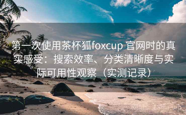 第一次使用茶杯狐foxcup 官网时的真实感受：搜索效率、分类清晰度与实际可用性观察（实测记录）